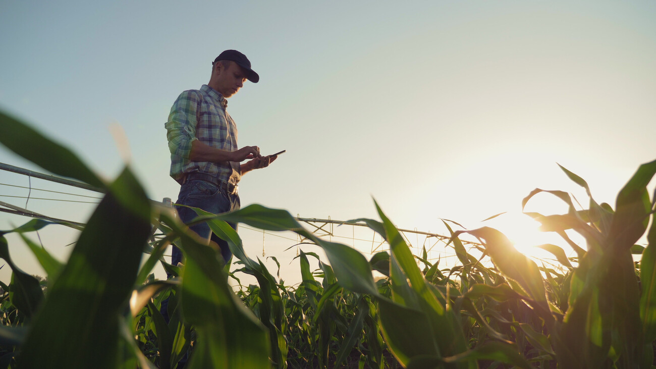 Young farmer working in a cornfield, inspecting and tuning irrigation center pivot sprinkler system on smartphone.; Shutterstock ID 1429439135